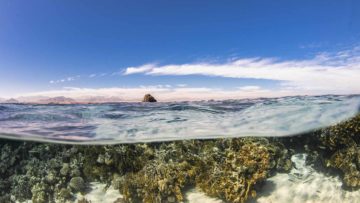 Splitshot di Jackson Reef, Isola di Tiran (Mar Rosso)