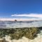 Splitshot di Jackson Reef, Isola di Tiran (Mar Rosso)