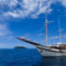 Indonesia Tiare-0403