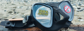 IMG_20241013_081038502